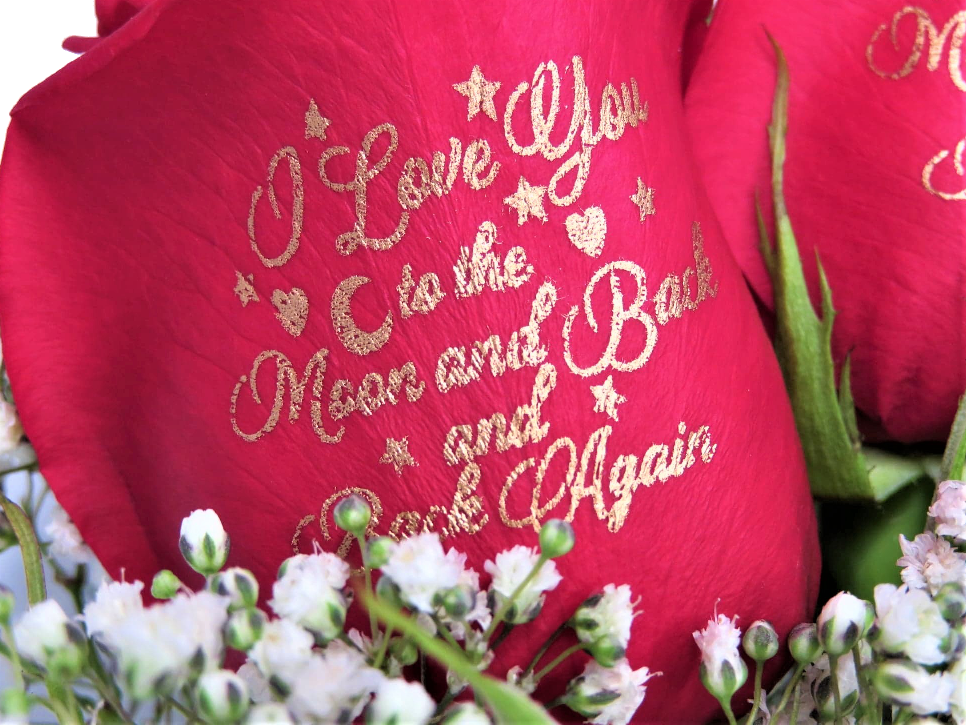 3 Red Roses "I Love You to the Moon and Back and Back Again"