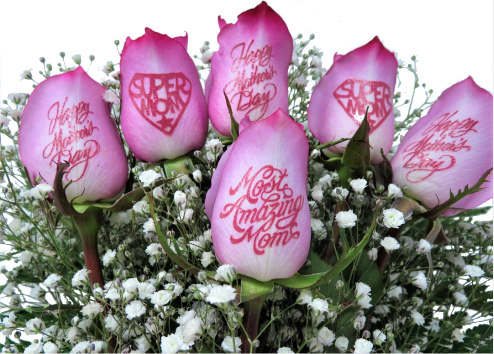 6 Pink Roses - Mother's Day Bouquet with Pink Ink