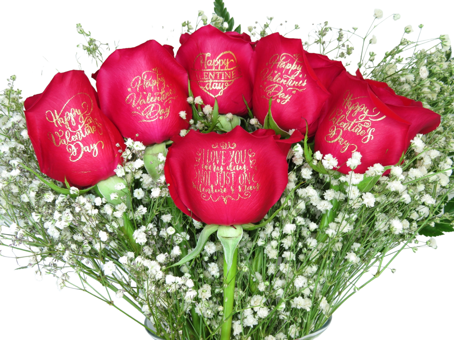 6 Red Roses - "Happy Valentine's Day - I Love You Every Day, Not Just On Valentine's Day