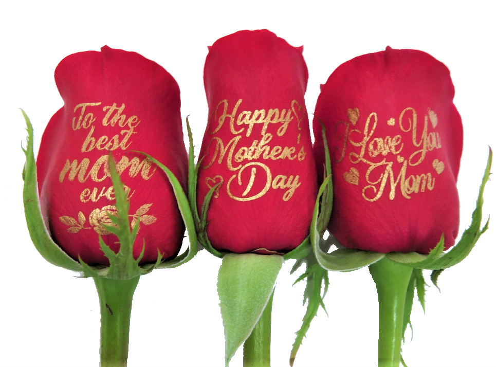 6 Red Roses - Happy Mother's Day Bouquet