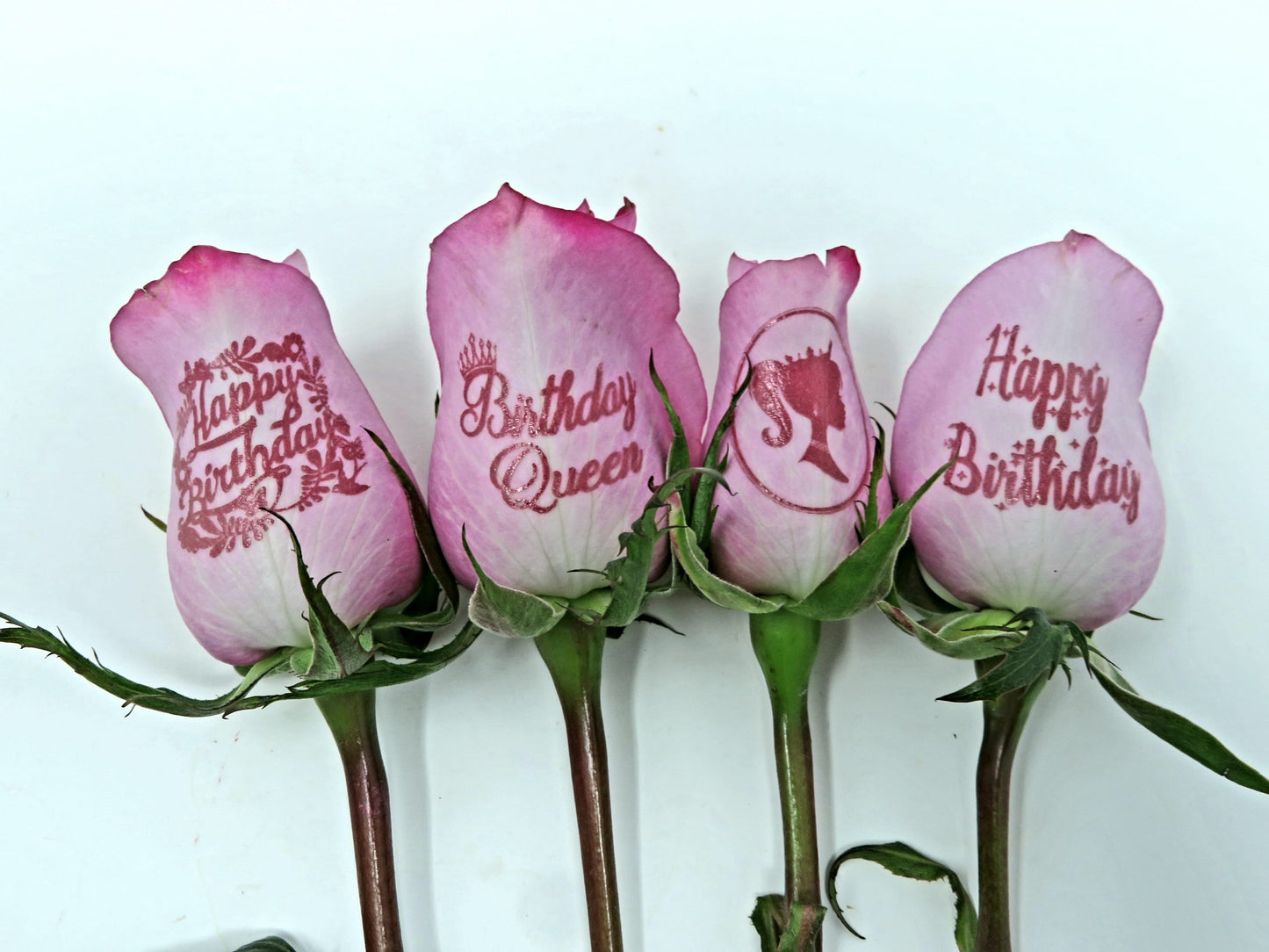 6 Pink Roses with Happy Birthday for a Queen!