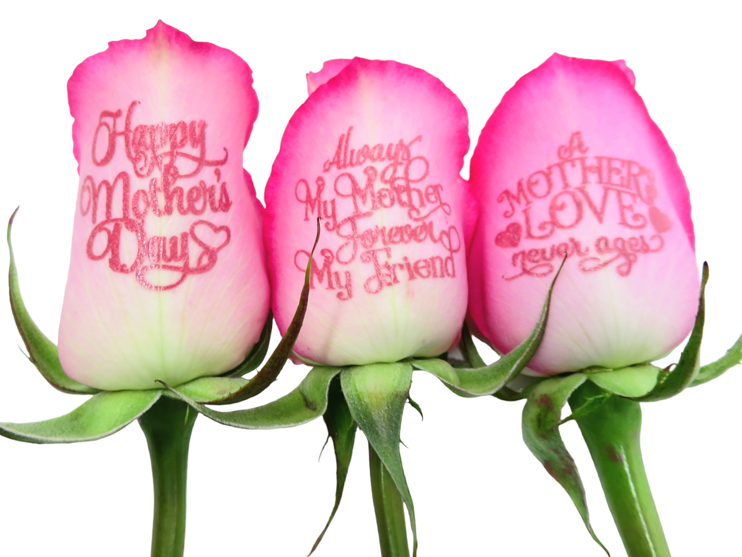 "Happy Mother's Day" 6 Pink Roses with Pink Bow