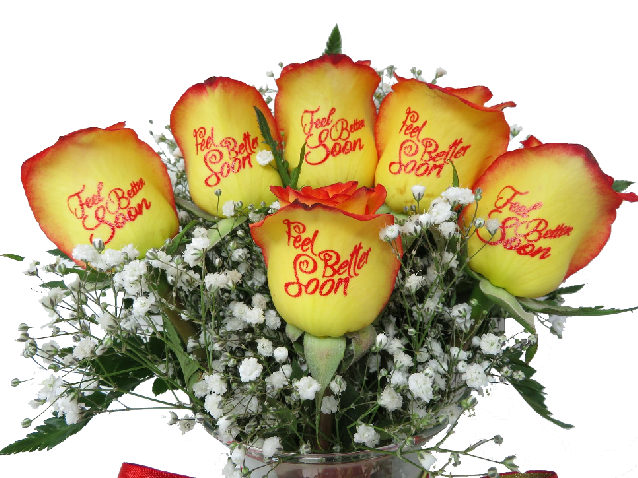 6 Red and Yellow Roses- Feel Better Soon with Red Ink