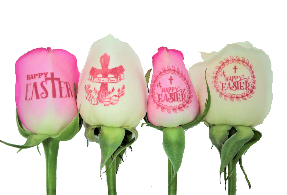 6 Roses - Happy Easter Bouquet