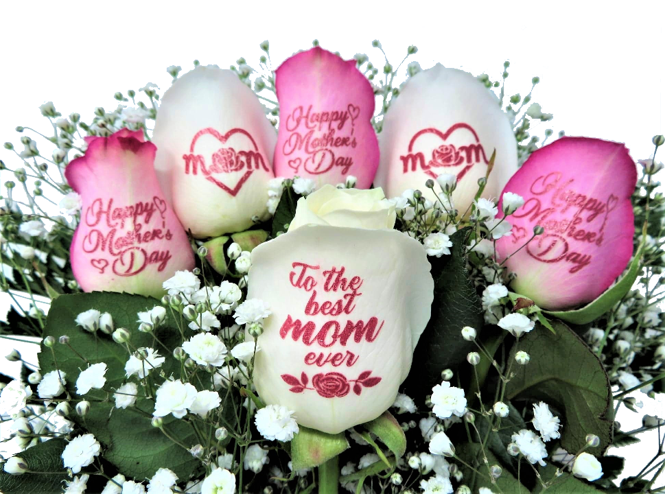 6 Pink and White Roses - Happy Mother's Day Bouquet