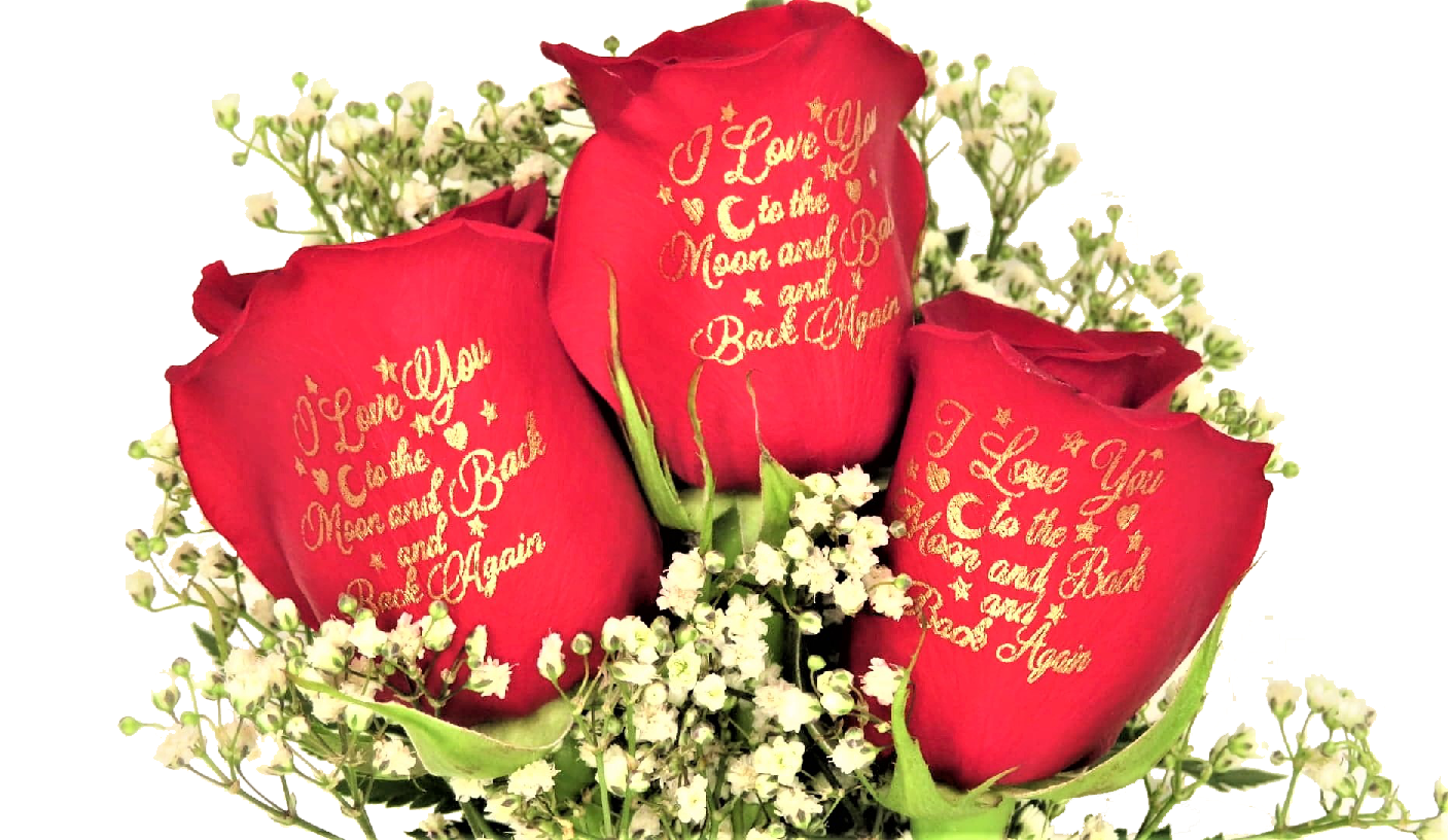 3 Red Roses "I Love You to the Moon and Back and Back Again"