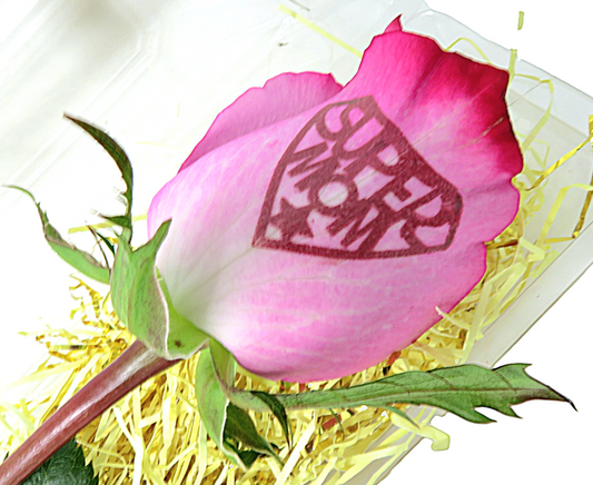 "Super Mom" Single Rose in Case
