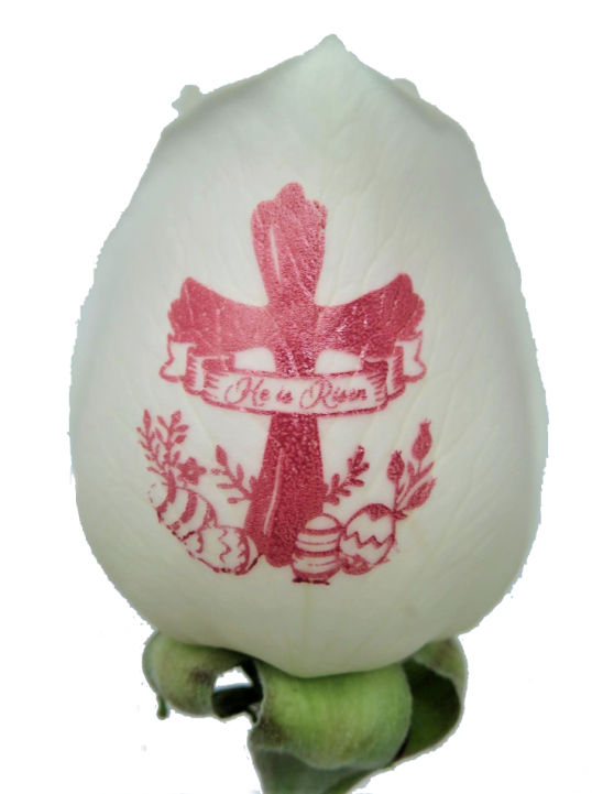 Single Easter White Rose with Cross Engraved - "He Is Risen" in Pink Ink with Madonna Vase