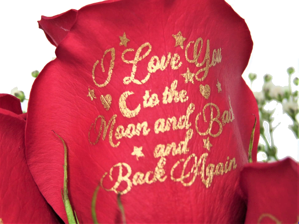 3 Red Roses "I Love You to the Moon and Back and Back Again"