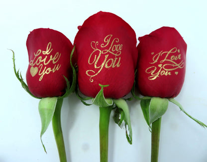 6 Red Roses, "I Love You" in Gold Lettering