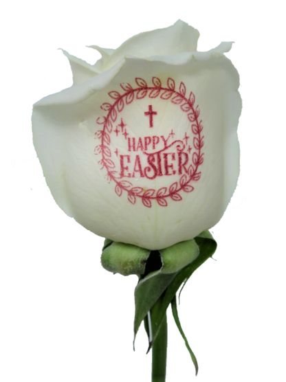 Single Easter Rose with Pink Ink in Madonna Vase