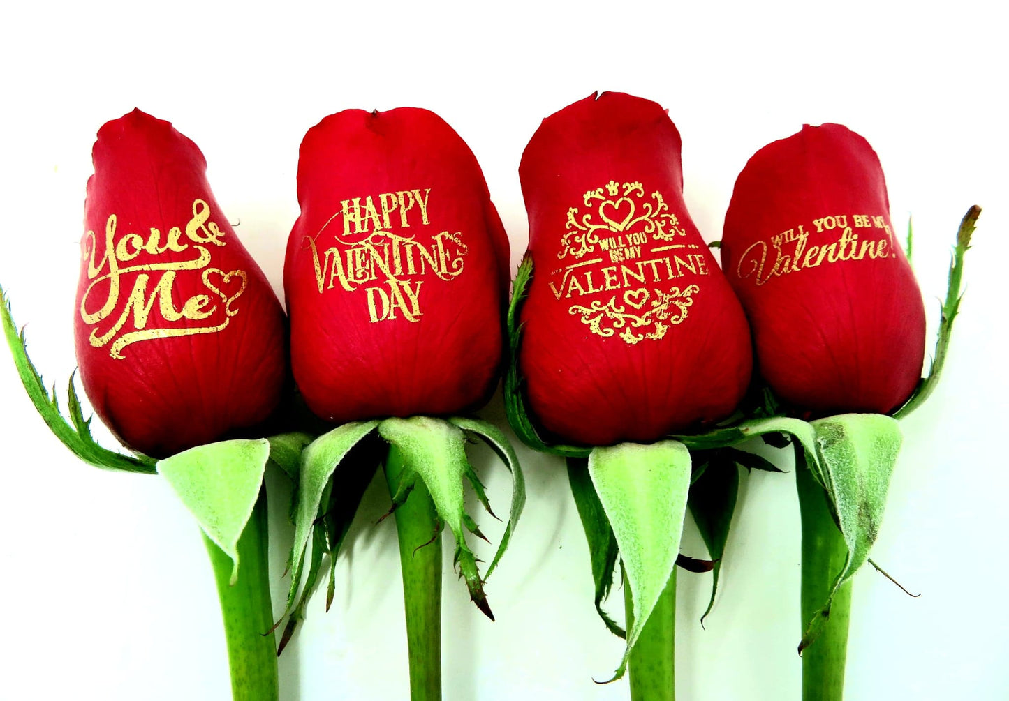 Happy Valentine's Day - 6 Red Roses with Gold Ink