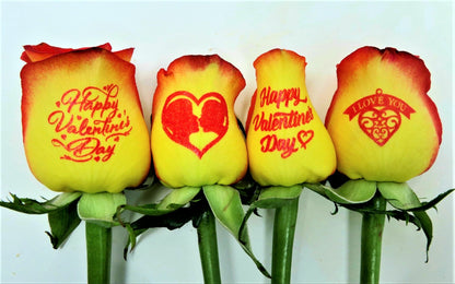 Happy Valentine's Day - 6 Red and Yellow Roses