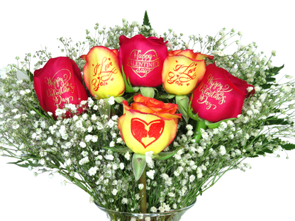 Happy Valentine's Day - 6 Roses