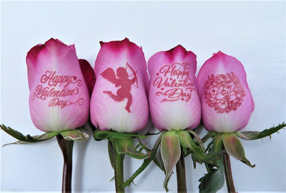Happy Valentine's Day - 6 Purple Roses with Pink Ink