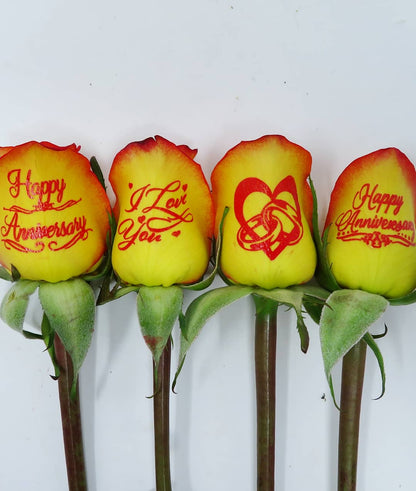 Happy Anniversary - 6 Rose Bouquet on Yellow Roses with Red Tips